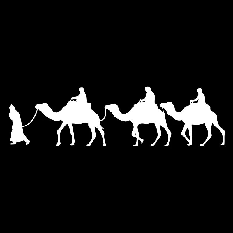 Camel - Dromedar - Kamel - Karawane