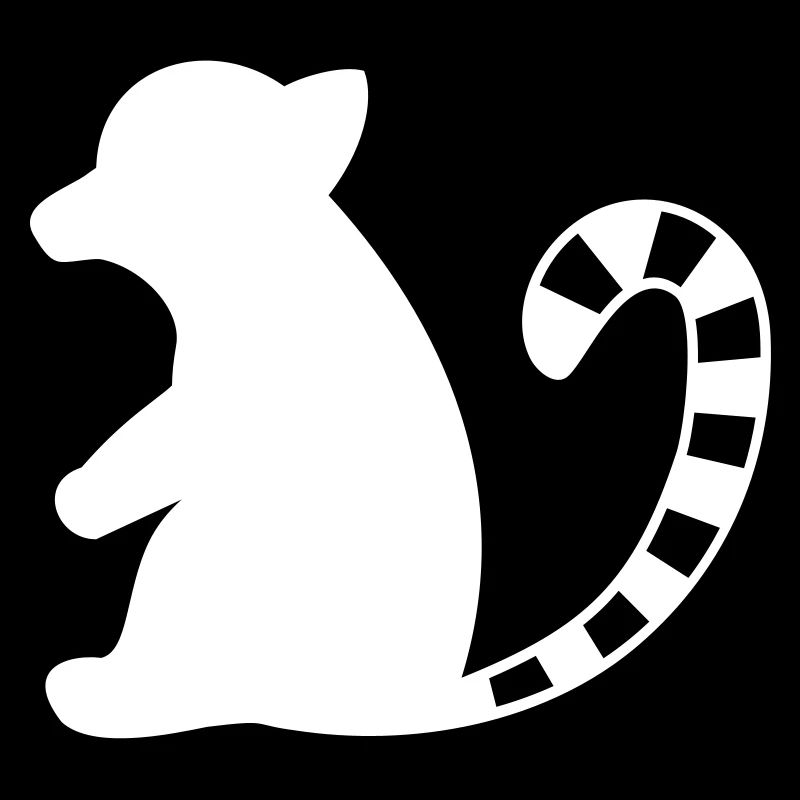 Affe - Katta Lemure