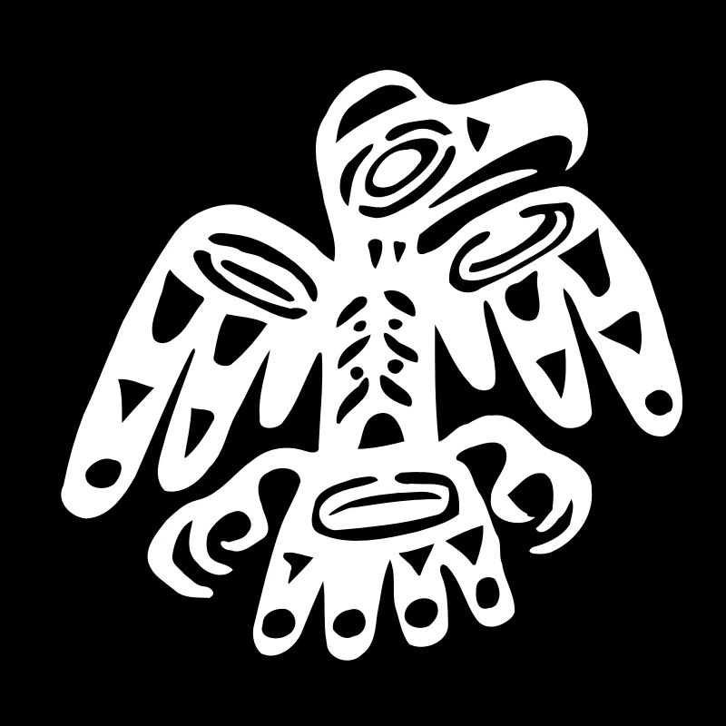 indian symbol eagle exit-shirt