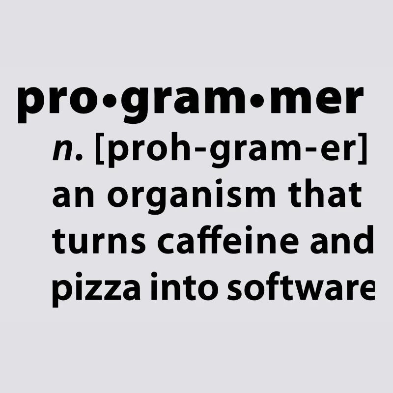 Programmer dictionary definition