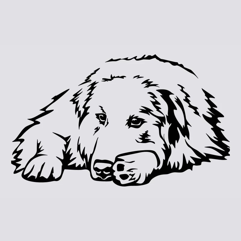 Pyrenees mountain dog