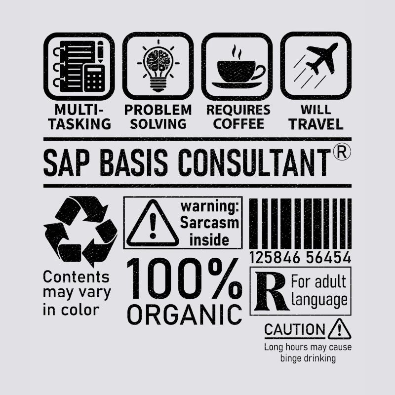 Sap Basis Consultant multi tasking problem solving