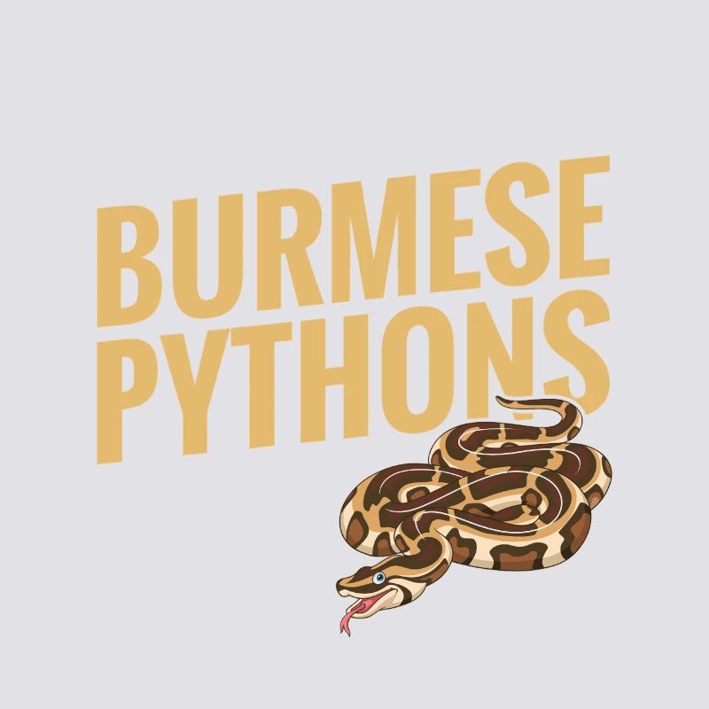 Python birman Stuff Reptile Foos Propriétaire de serpent