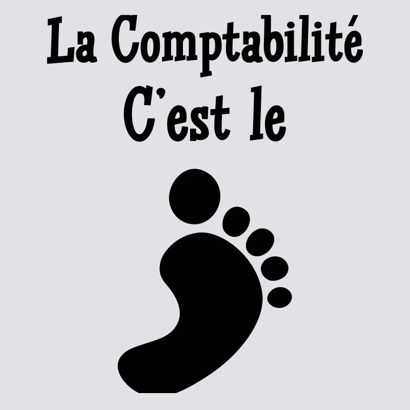comptable / comptabilité / argent / Finance / Euro