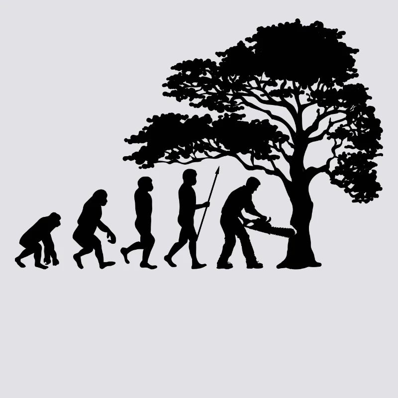 Lumberjack Tree Evolution sciure de bois