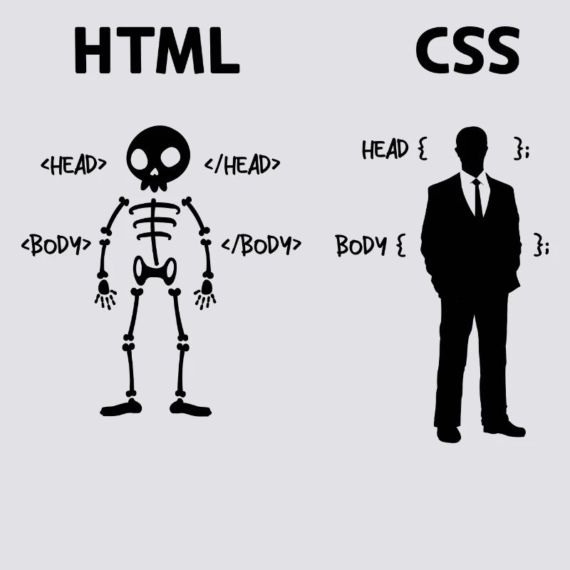 Developer Programmierer Coden Css Skripting Code