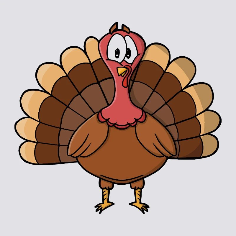 Dinde à queue large