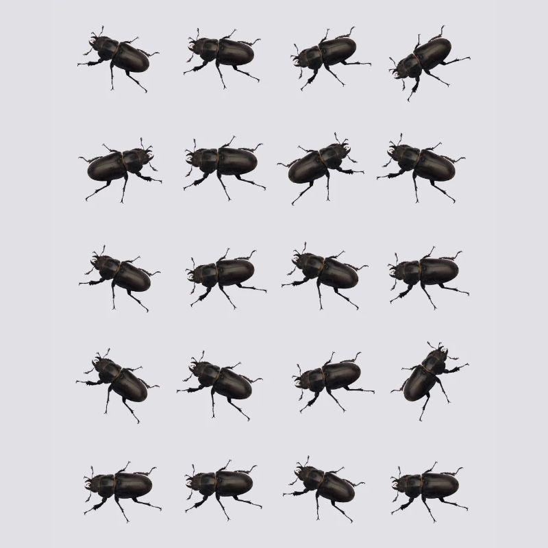 Stag Pattern