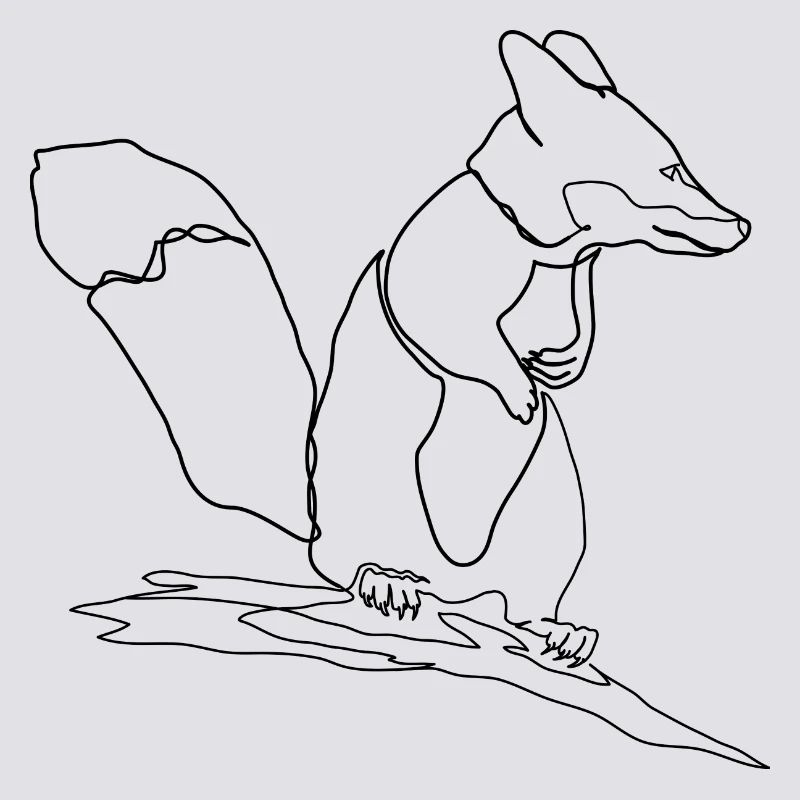 Fox Squirrel Squirrel Fox