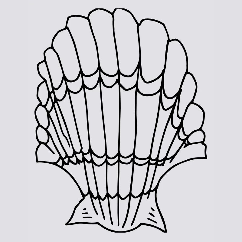 shell