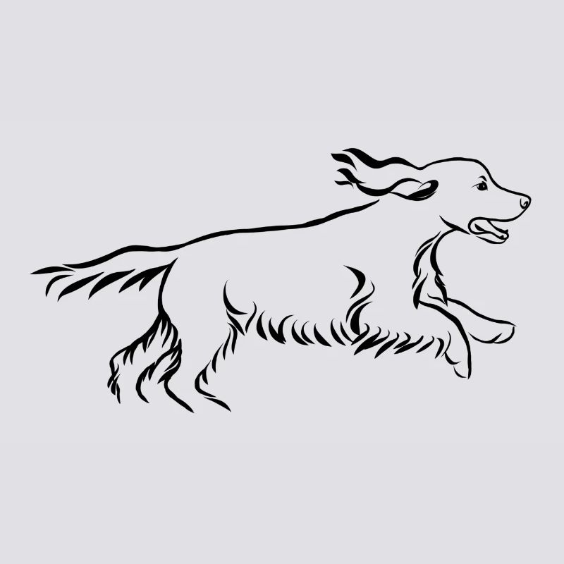 Cocker spaniel