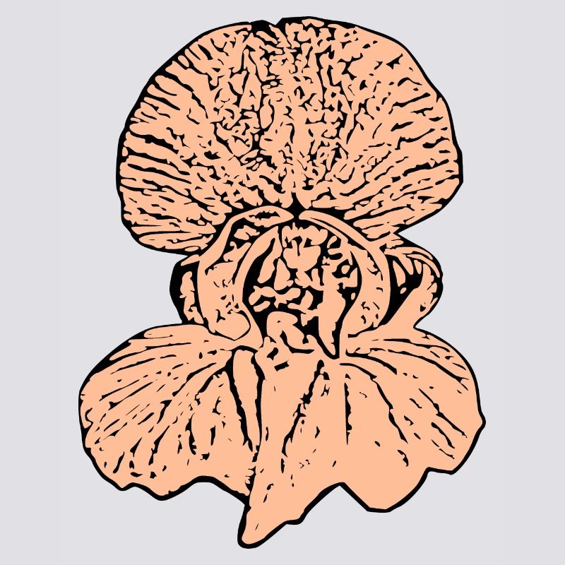 Muttertags Geschenk Mutter Muttertag Geschenkidee 