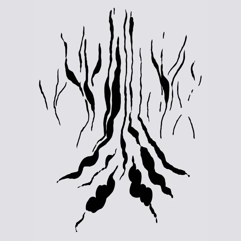 Magic forest