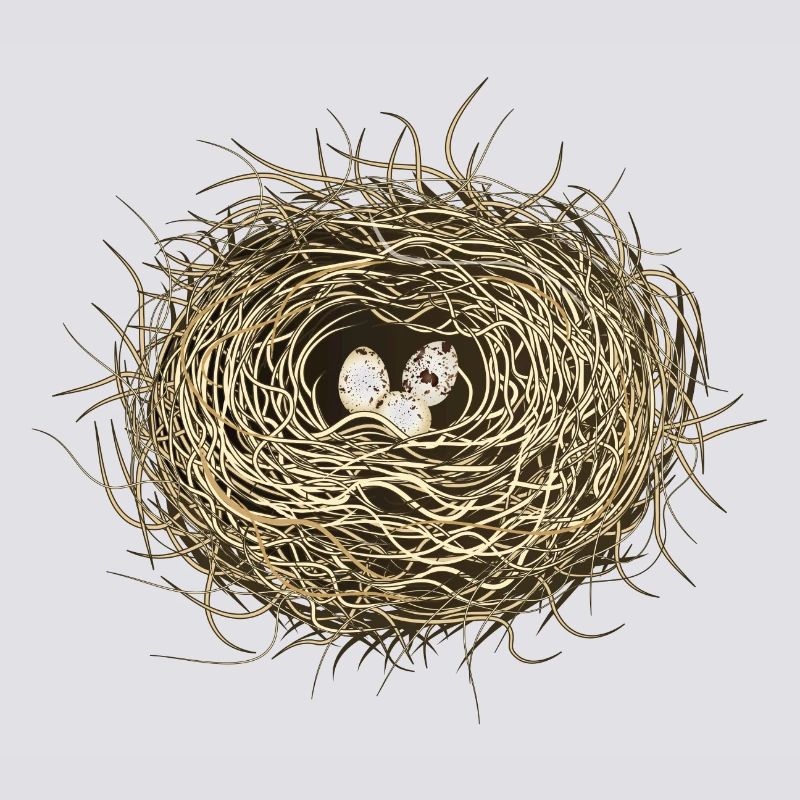 Vogelnest oder Osternest mit drei Vogel Eier