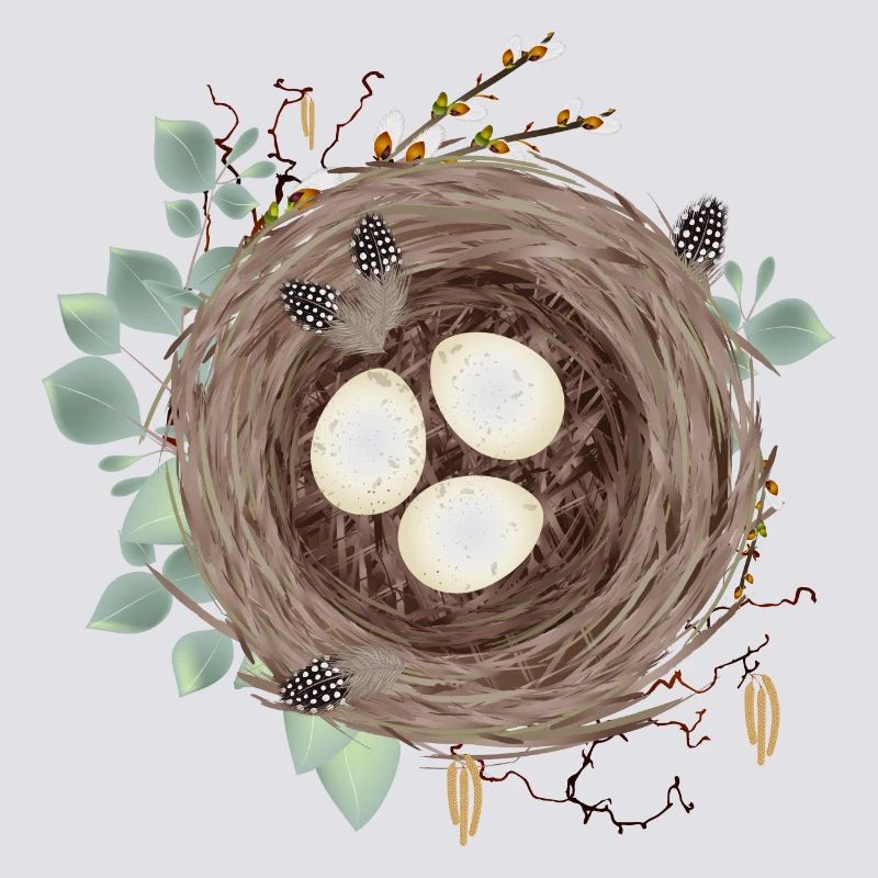 Vogelnest oder Osternest mit drei Eier und Federn