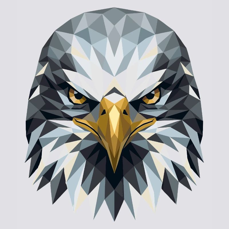 Eagle Bald Eagle Golden Eagle White-tailed Eagle