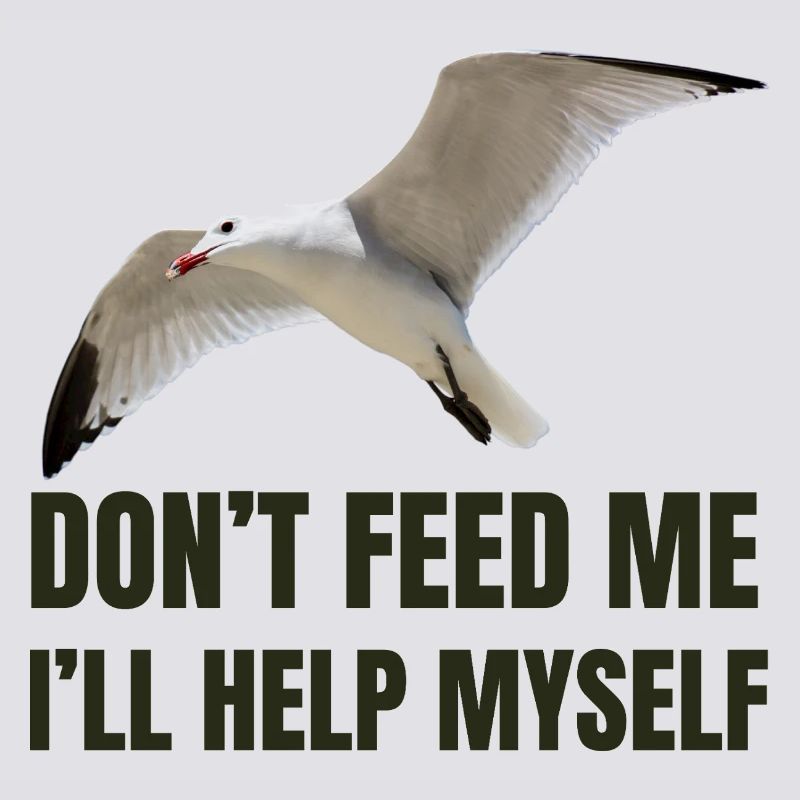Möwe mit mutigem Statement