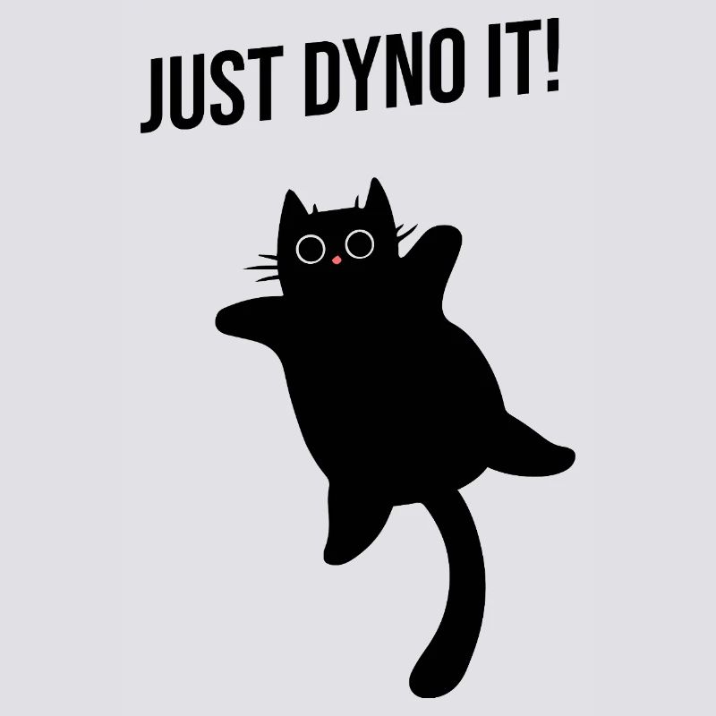 Cat climbs dynamically climbing route Dyno boulder
