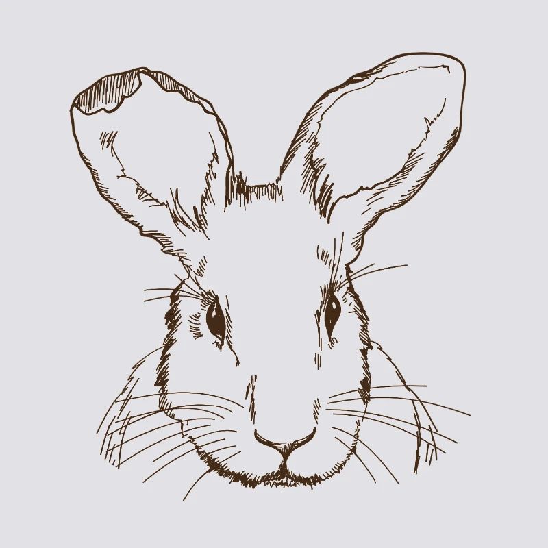 Lapin