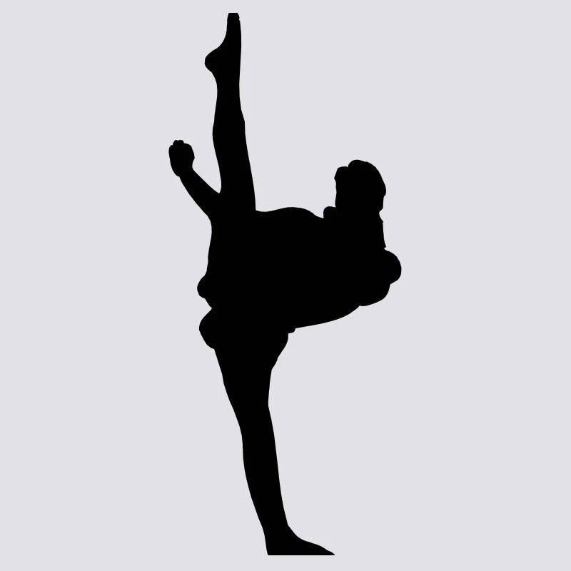 Karate oder Taekwondo High Kick