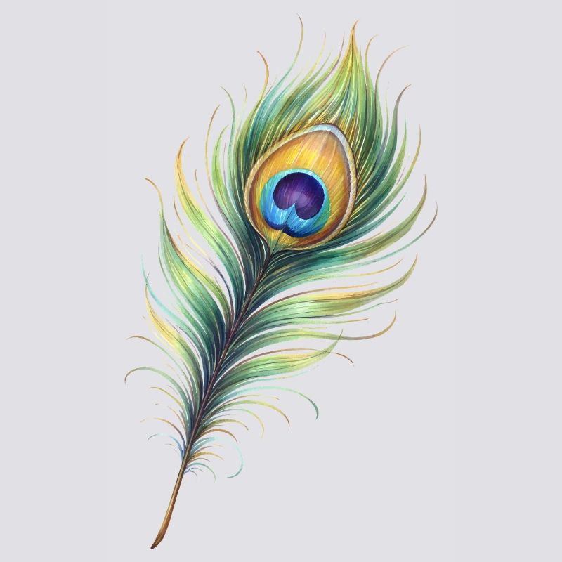 Peacock Feather Illustration Gradient Elegant