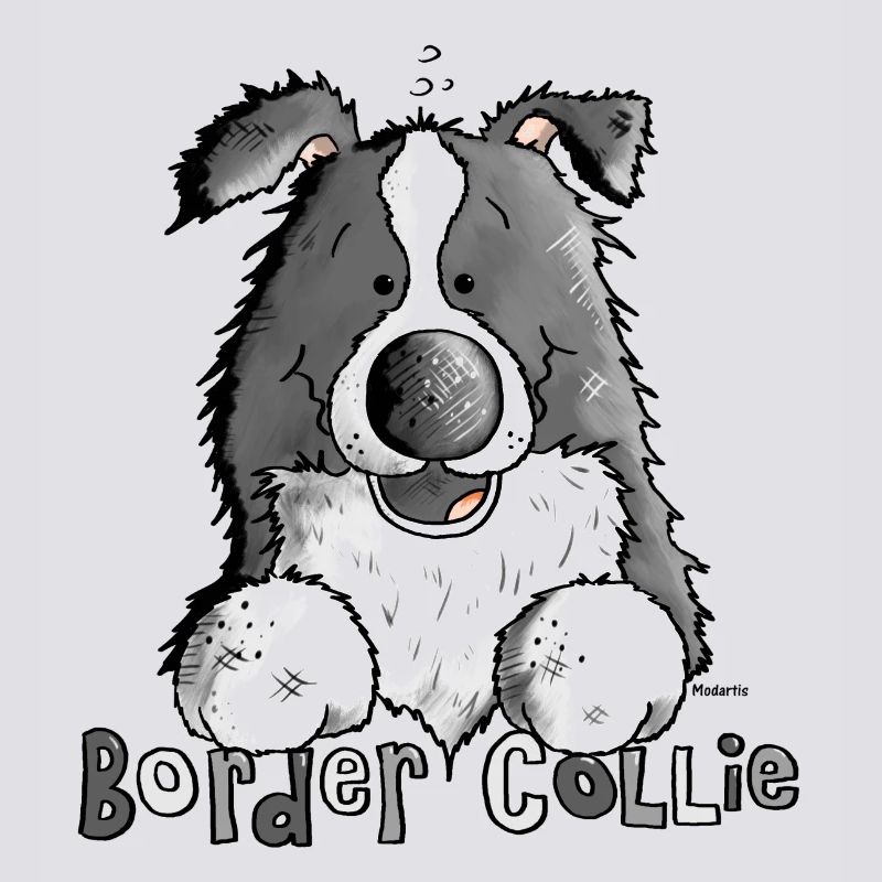 Petit Boder Collie - Chien de Berger