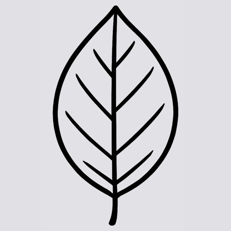 Conception minimaliste Leaf