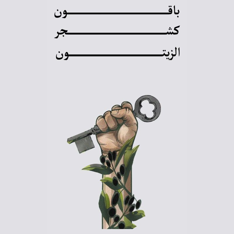 Solid like Oliven trees