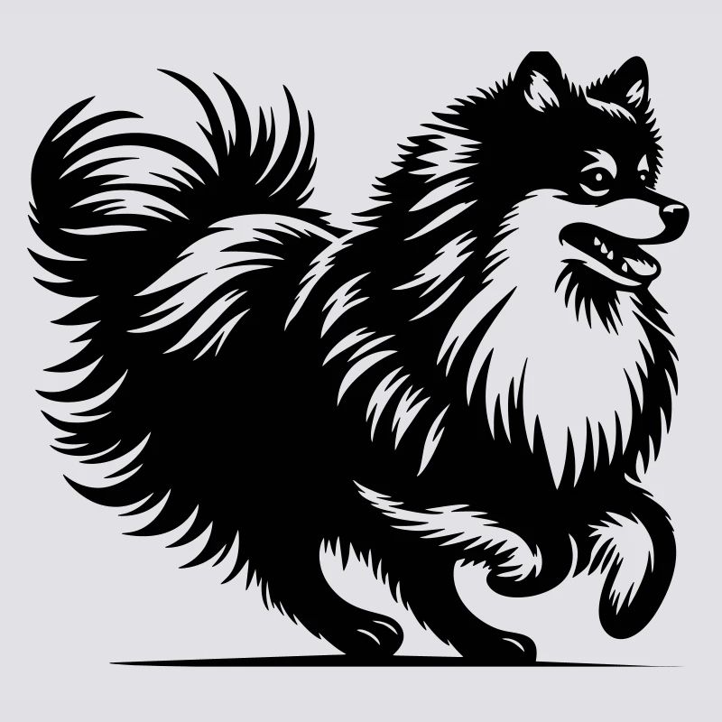 Spitz