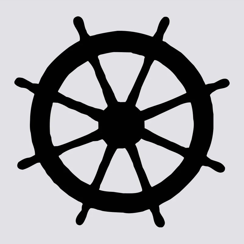 Steering Wheel (FR)