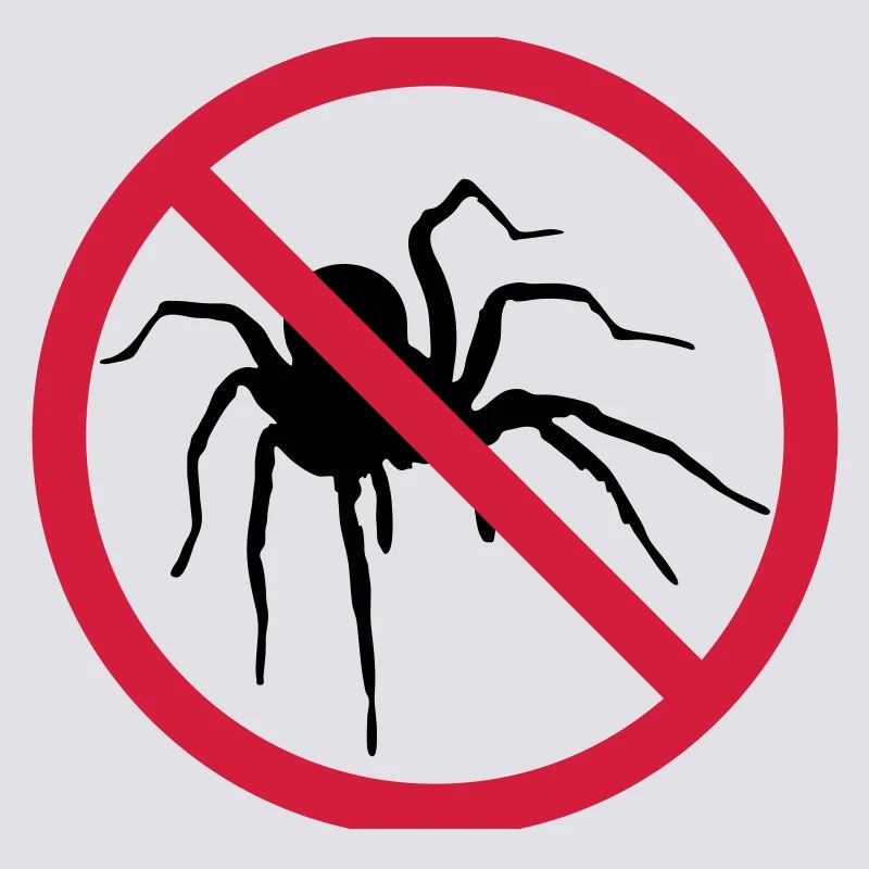 aucune araignée interdit bouclier conception araignée cl