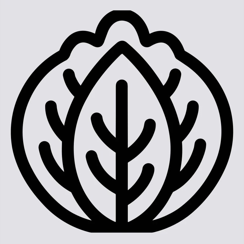 cabbage
