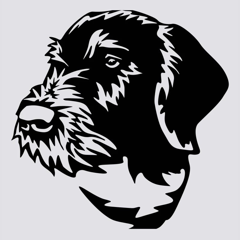German Wirehaired Pointer