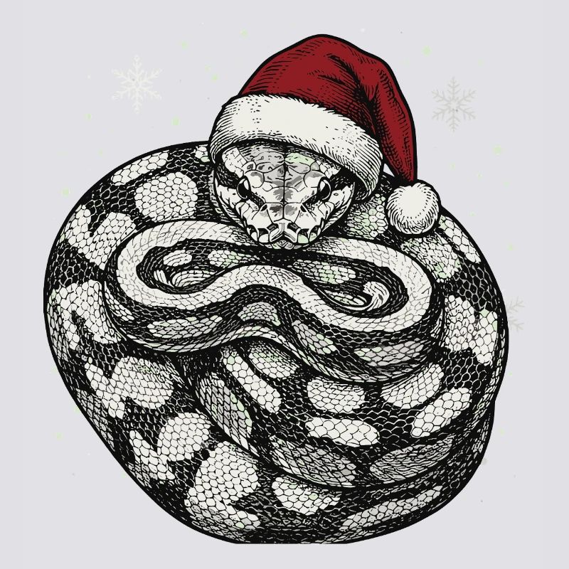 Königspython Weihnachten Ball Python Schlange