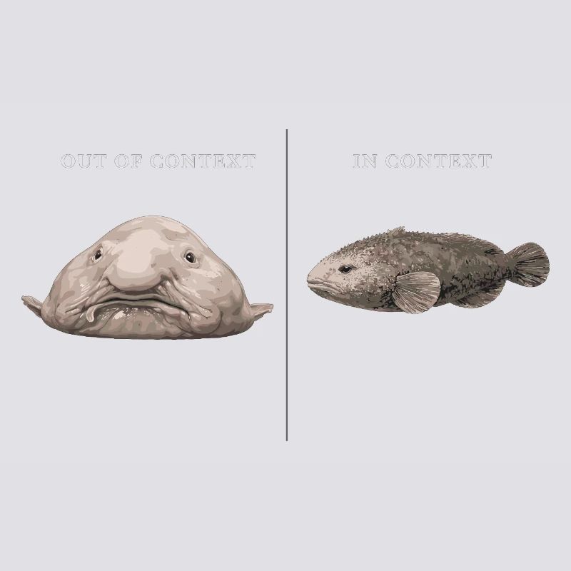 Blobfish hors contexte vs comparaison dans le contexte