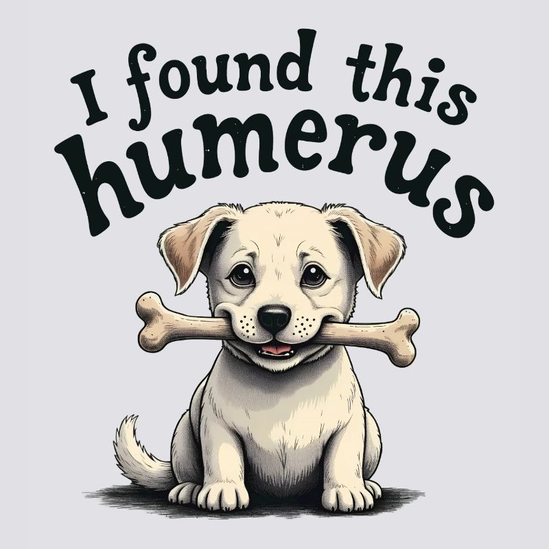 J’ai trouvé cet humérus