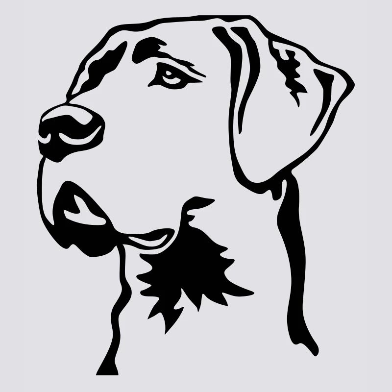Great Dane head