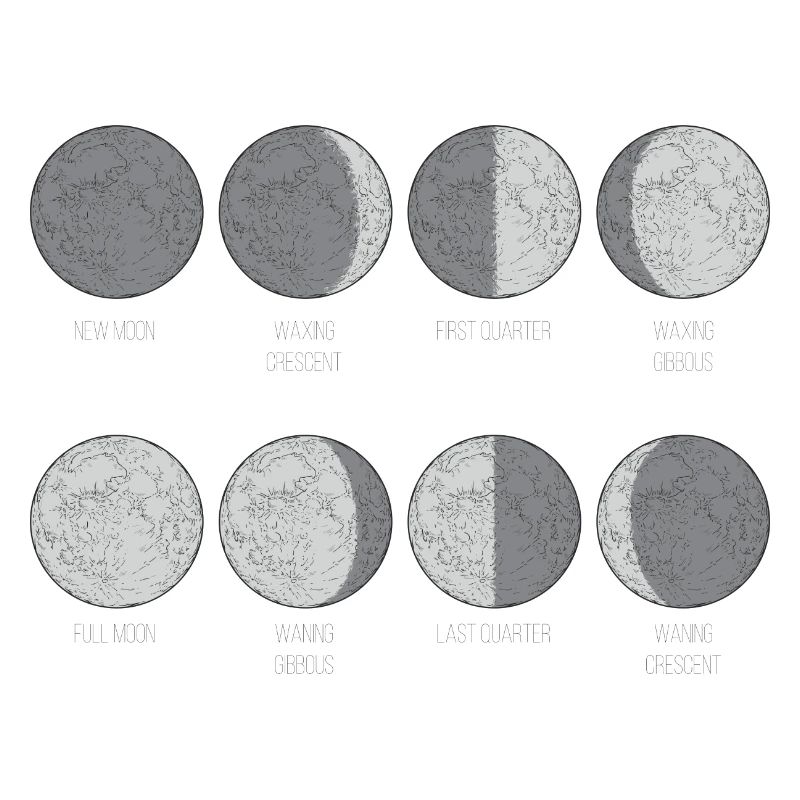 Monochrome Moon Phases Grid