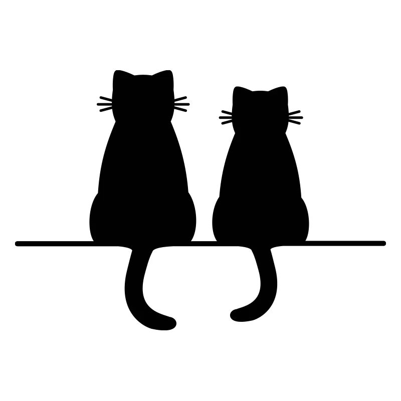 Katze Katzen Kätzchen Freundschaft Liebe Geschenk