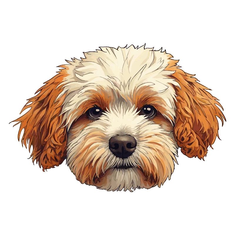 chien