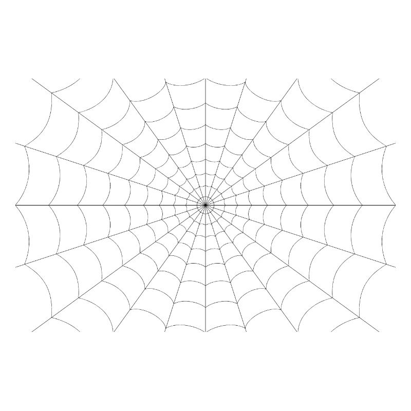 Spider web