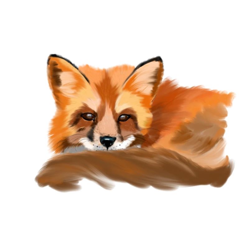 fox