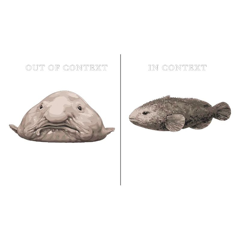 Blobfish Out Of Context vs In Context Comparison