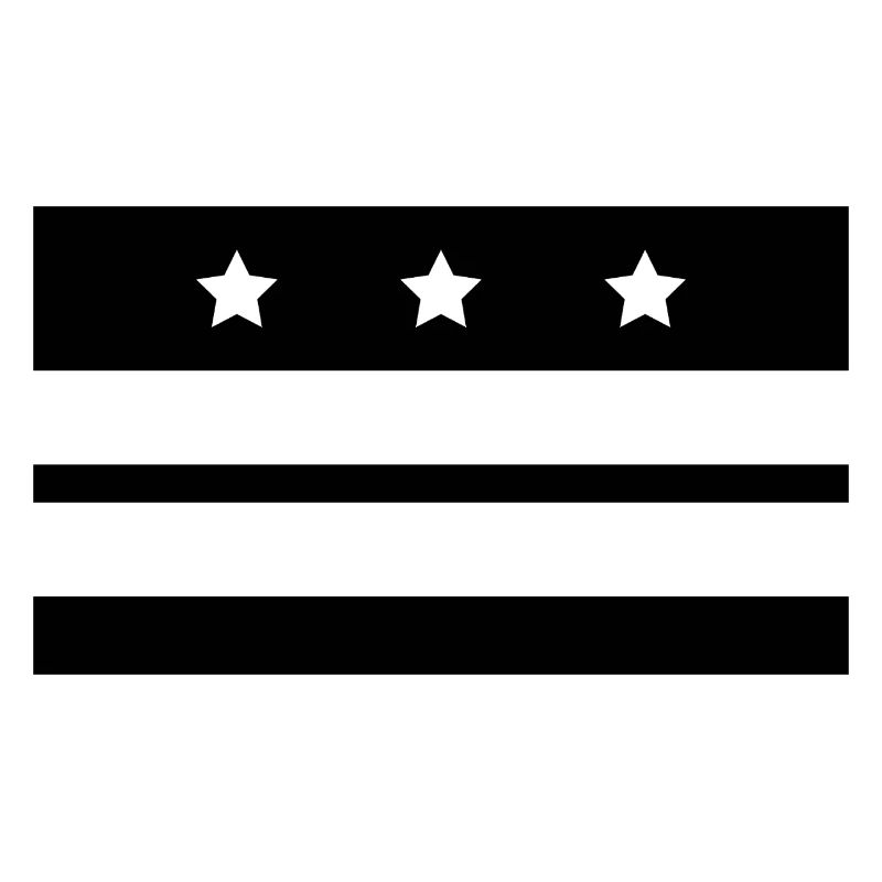 Washington flag