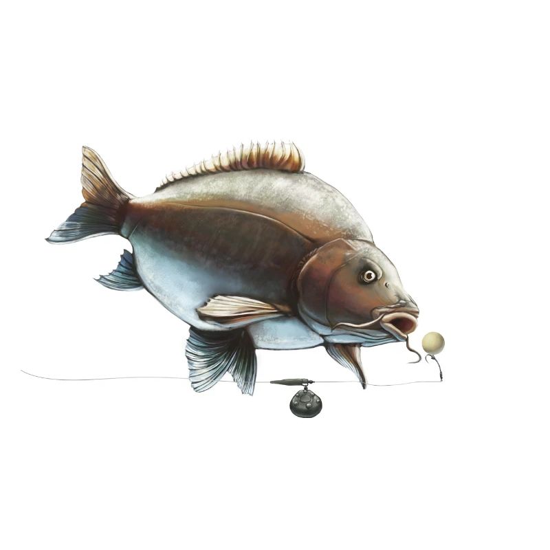 Conception du gréement de pêche Mirror Carp Ronnie