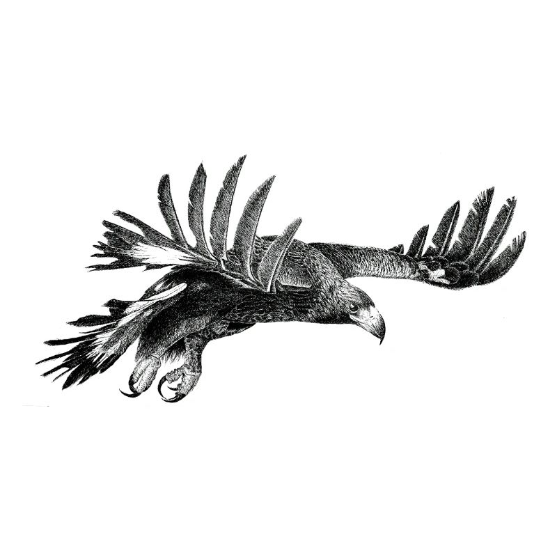 The Eagle