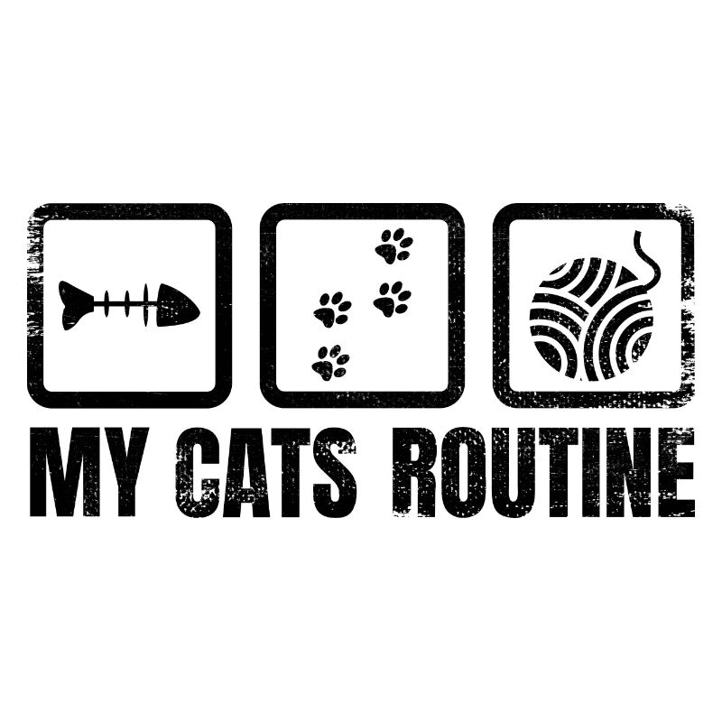 Routine quotidienne du chat