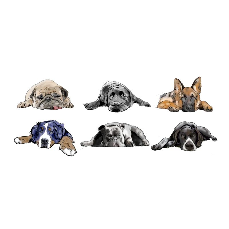 Pug Labrador German Shepherd Bernese Bulldog Pointer
