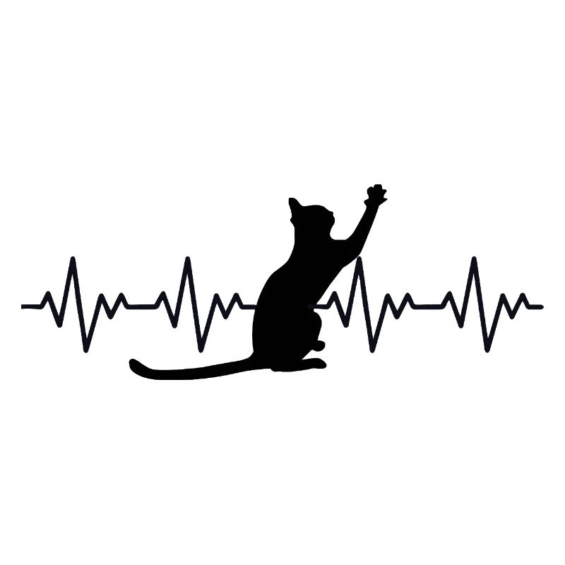 Katze EKG Herzfrequenz Herzschlag