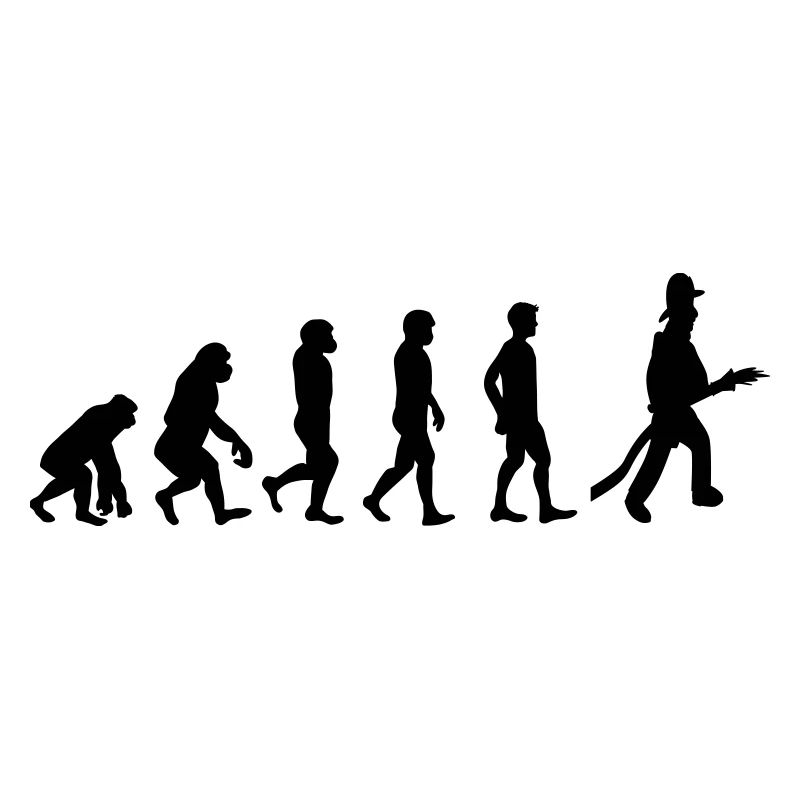 Fire evolution
